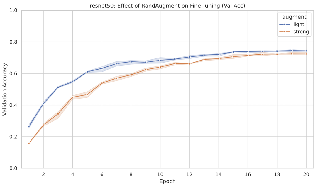 Confusion Matrix ViT
