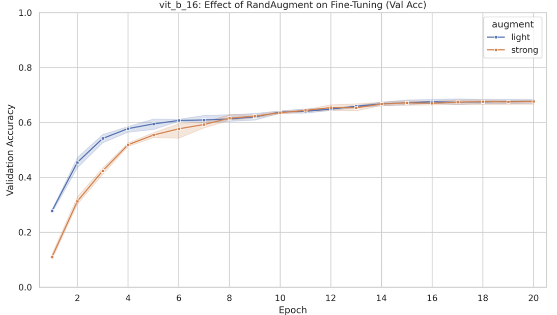 Error Analysis