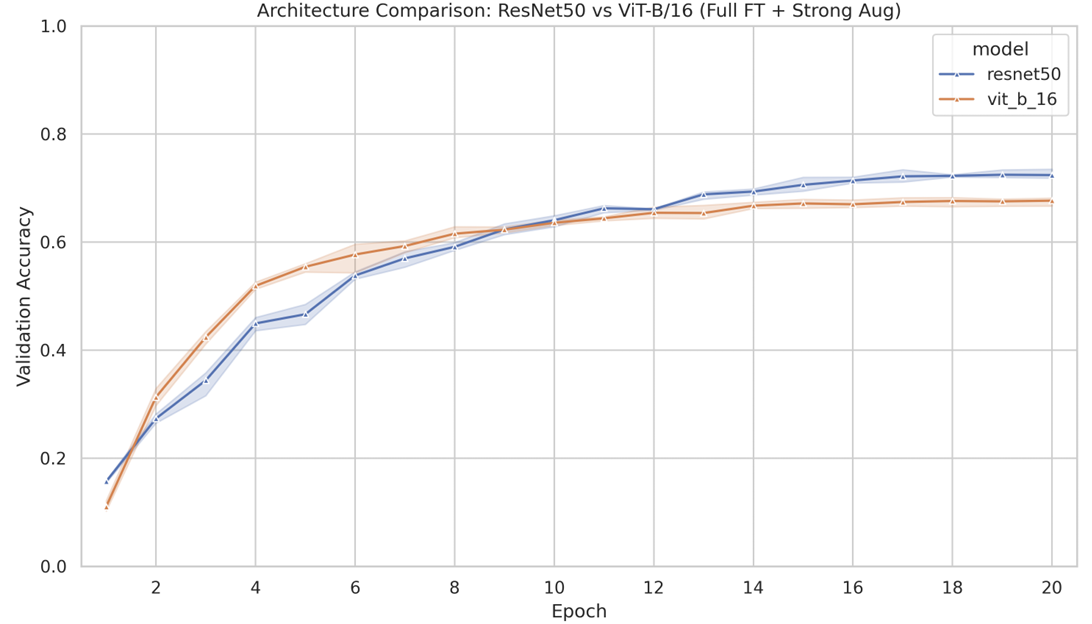 Class-wise Accuracy