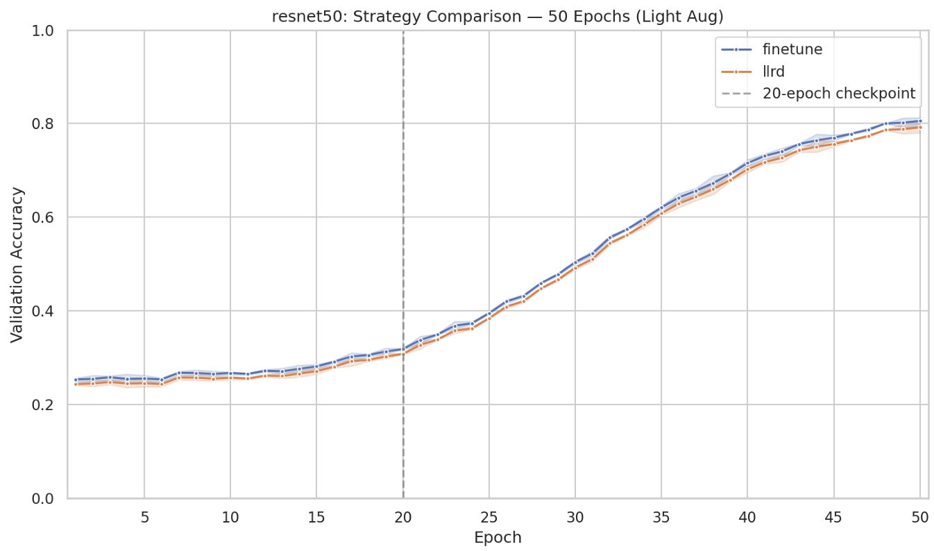 Performance Steps